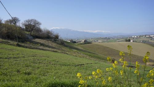 Rustico in vendita a Borgo Miriam, Offida (AP)