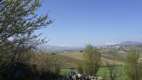 Rustico in vendita a Borgo Miriam, Offida (AP)