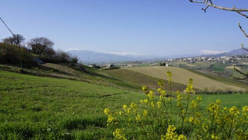 Rustico in vendita a Borgo Miriam, Offida (AP)