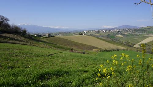 Rustico in vendita a Borgo Miriam, Offida (AP)