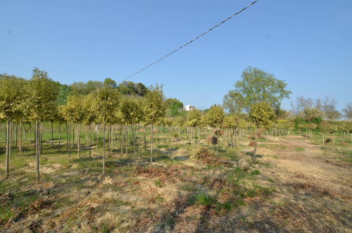 Casa cielo - terra in vendita a Montefiore dell'Aso