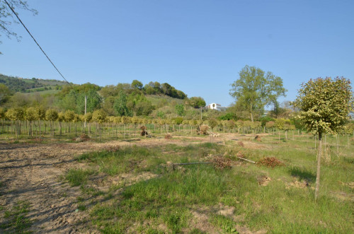 Casa cielo - terra in vendita a Montefiore dell'Aso