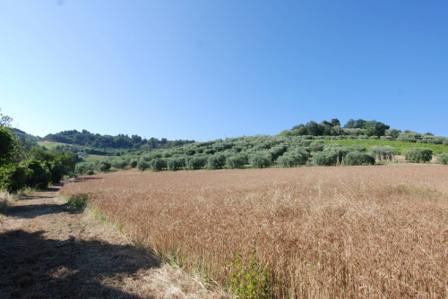 Casale Colonico in vendita a Massignano