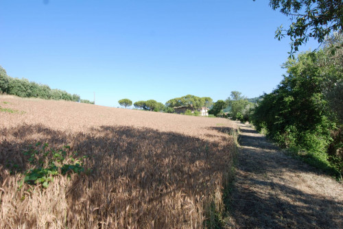 Casale Colonico in vendita a Massignano