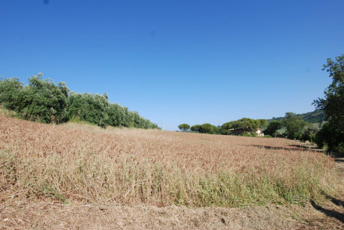 Casale Colonico in vendita a Massignano