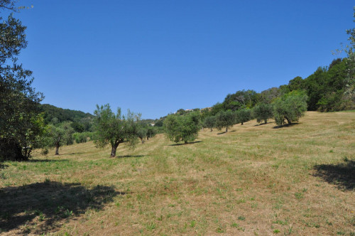 Casale Colonico in vendita a Cupra Marittima