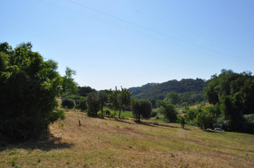 Casale Colonico in vendita a Cupra Marittima