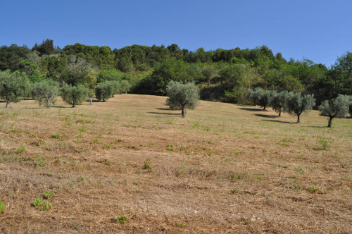 Casale Colonico in vendita a Cupra Marittima