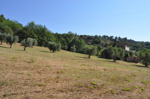 Casale Colonico in vendita a Cupra Marittima