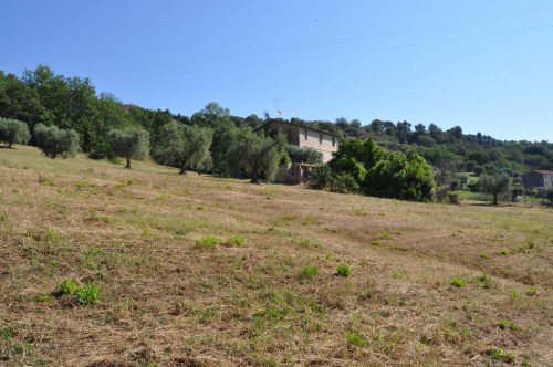 Casale Colonico in vendita a Cupra Marittima