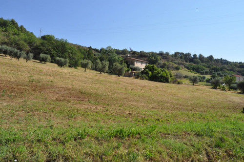 Casale Colonico in vendita a Cupra Marittima