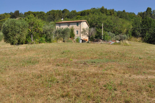 Casale Colonico in vendita a Cupra Marittima