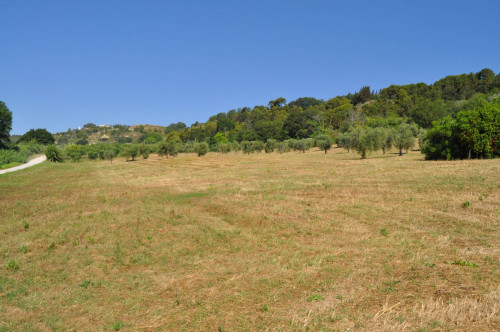 Casale Colonico in vendita a Cupra Marittima