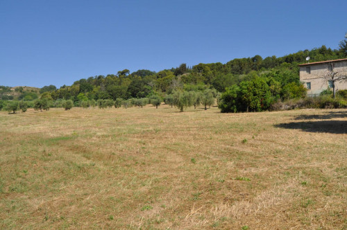 Rustico in vendita a Cupra Marittima (AP)