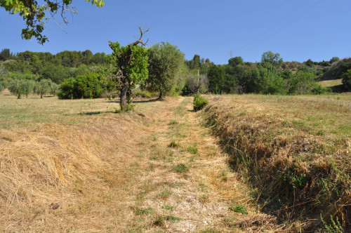 Casale Colonico in vendita a Cupra Marittima