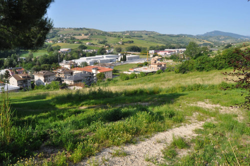 Terreno Agricolo in vendita a Offida