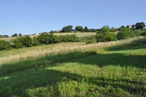 Terreno Agricolo in vendita a Offida