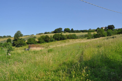 Terreno Agricolo in vendita a Offida