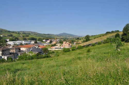 Terreno Agricolo in vendita a Offida