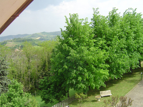 Casa cielo - terra in vendita a Montalto delle Marche