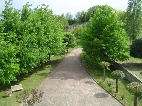 Casa cielo - terra in vendita a Montalto delle Marche