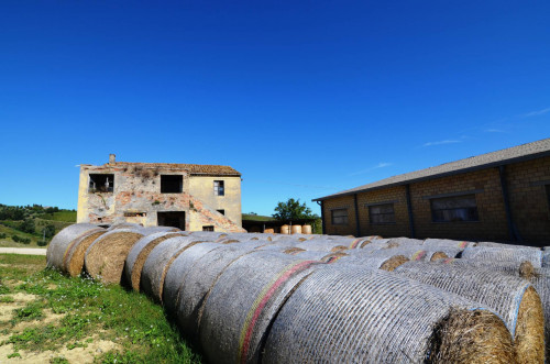 Azienda agricola in vendita a Castignano (AP)