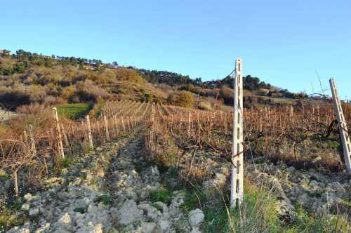 Terreno Agricolo in vendita a Ripatransone