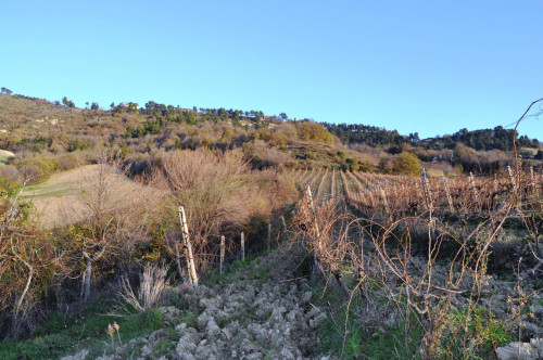 Terreno agricolo in vendita a Val Tesino, Ripatransone (AP)