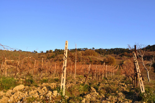 Terreno agricolo in vendita a Val Tesino, Ripatransone (AP)