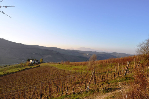 Terreno agricolo in vendita a Val Tesino, Ripatransone (AP)