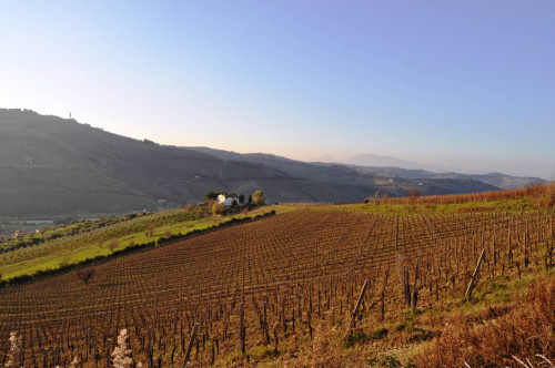 Terreno agricolo in vendita a Val Tesino, Ripatransone (AP)