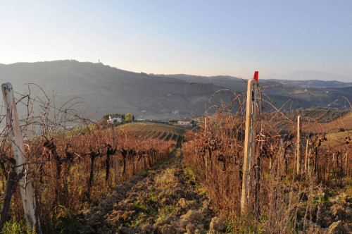 Terreno agricolo in vendita a Val Tesino, Ripatransone (AP)