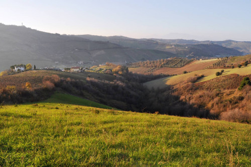 Terreno agricolo in vendita a Val Tesino, Ripatransone (AP)