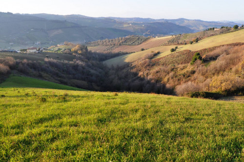 Terreno agricolo in vendita a Val Tesino, Ripatransone (AP)