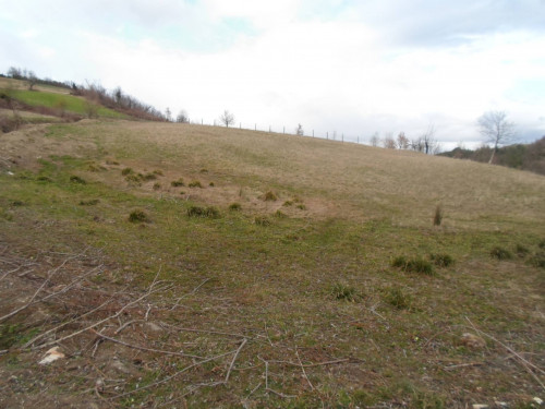 Terreno Agricolo in vendita a Montemonaco