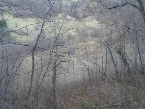 Terreno Agricolo in vendita a Montemonaco