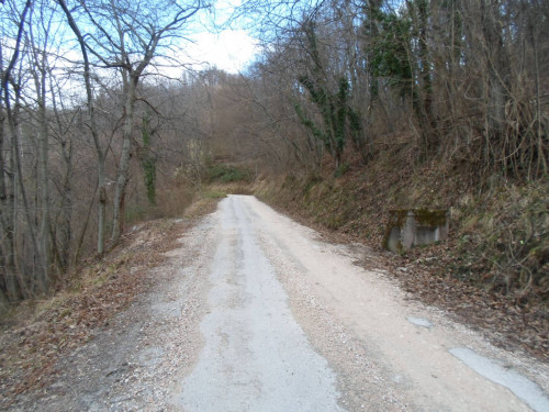 Terreno Agricolo in vendita a Montemonaco