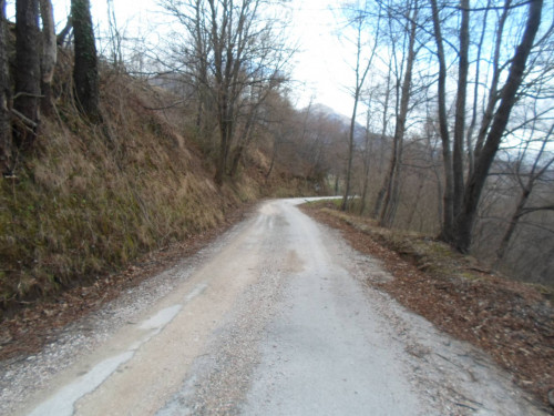 Terreno Agricolo in vendita a Montemonaco