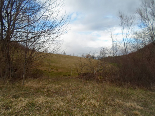 Terreno Agricolo in vendita a Montemonaco