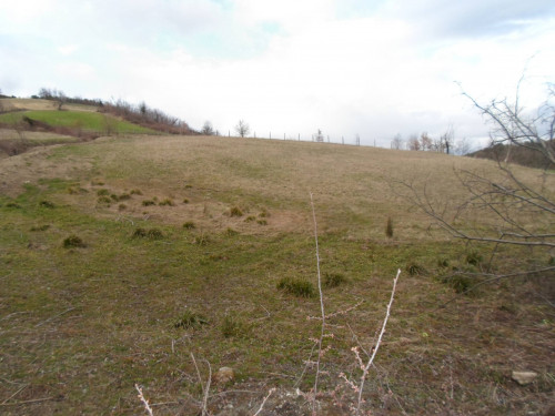 Terreno Agricolo in vendita a Montemonaco