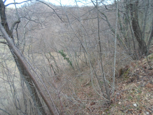 Terreno Agricolo in vendita a Montemonaco