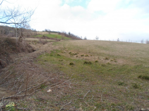 Terreno Agricolo in vendita a Montemonaco