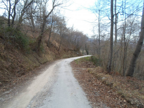 Terreno Agricolo in vendita a Montemonaco