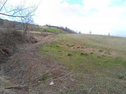 Terreno Agricolo in vendita a Montemonaco