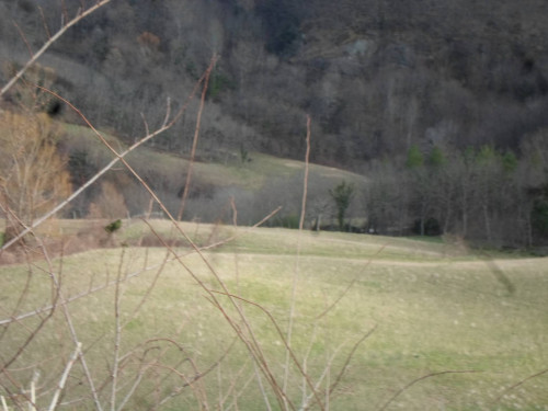 Terreno Agricolo in vendita a Montemonaco