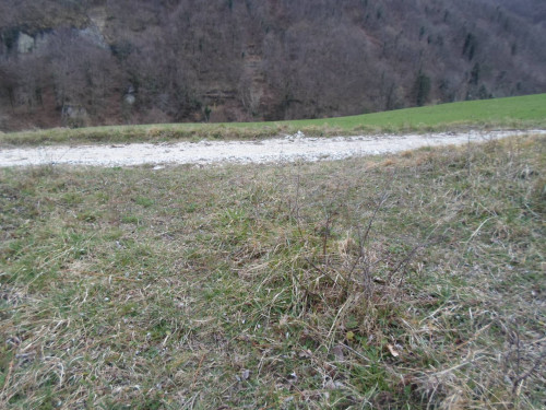 Terreno Agricolo in vendita a Montemonaco