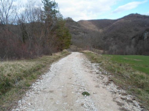 Terreno Agricolo in vendita a Montemonaco