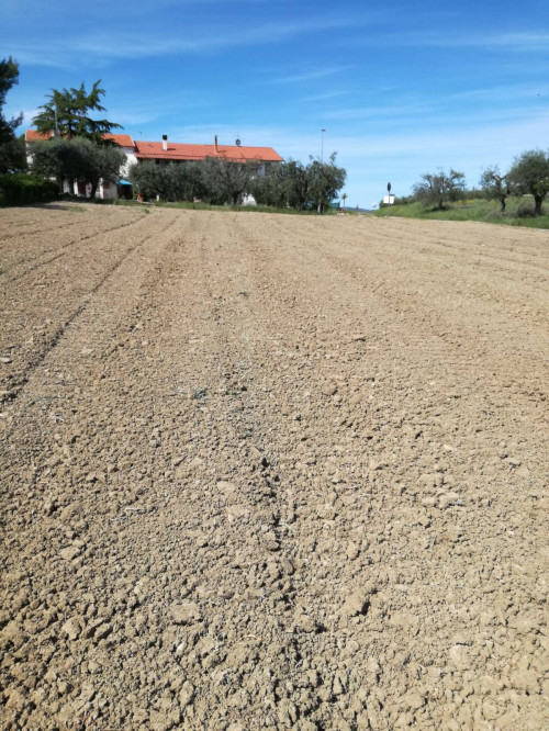 Terreno Agricolo in vendita a Castorano