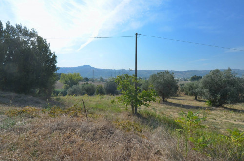 Casale Colonico in vendita a Monteprandone