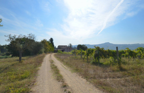 Casale Colonico in vendita a Monteprandone